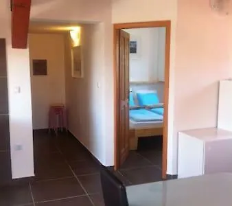 Delfin * Новиград