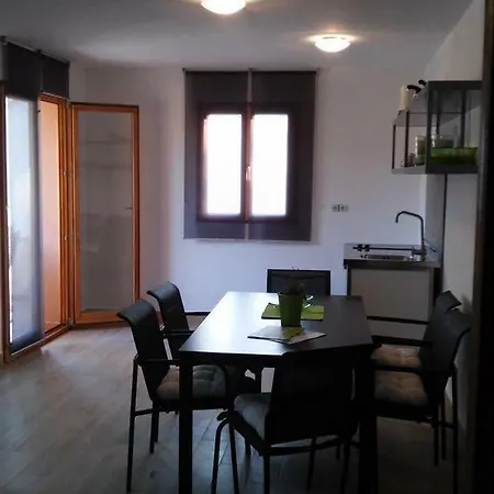 Delfin Novigrad Istria