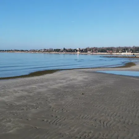 Апартаменты Delfin *