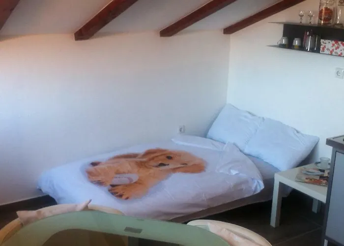 Delfin Appartement *