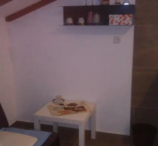 Delfin Appartement Novigrad Istria