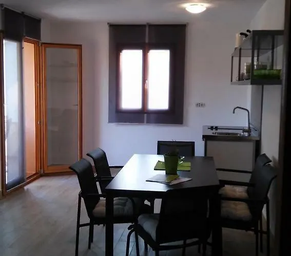 Delfin Novigrad Istria