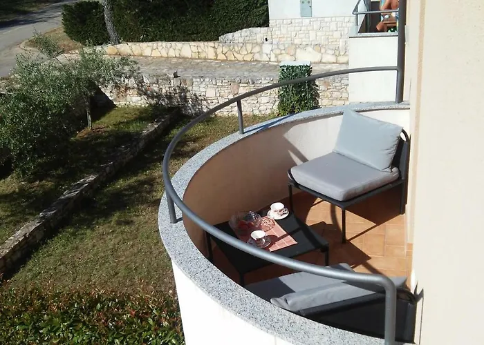Delfin Novigrad Istria