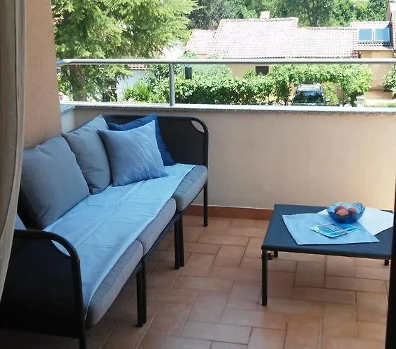 Delfin * Novigrad Istria