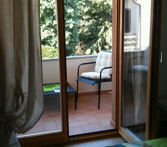 Delfin * Novigrad Istria