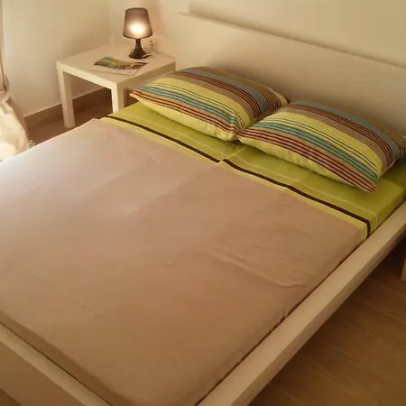 Delfin Novigrad (Istria)