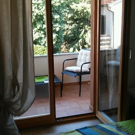 Delfin * Novigrad (Istria)