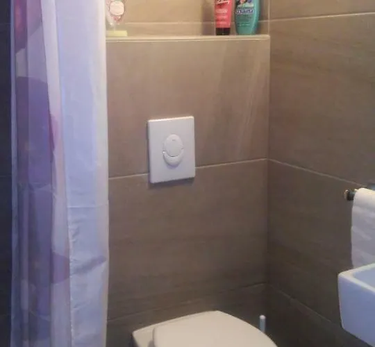 Delfin Novigrad (Istria)