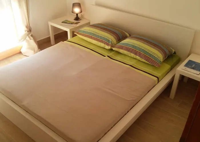 Delfin Novigrad (Istria)