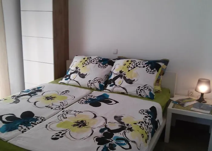 Apartment Delfin Novigrad (Istria)