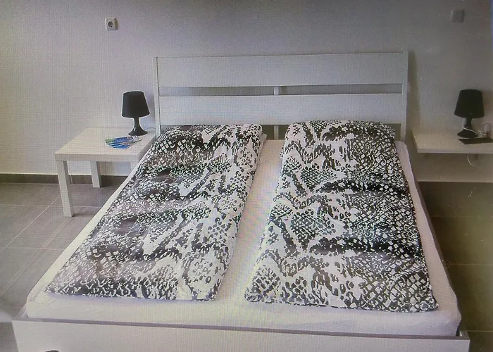 Apartment Delfin Novigrad (Istria)