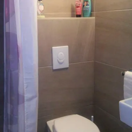 Delfin Novigrad Istria