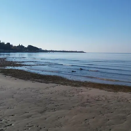 Delfin * Novigrad Istria