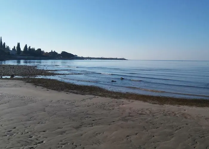 Delfin * Novigrad Istria